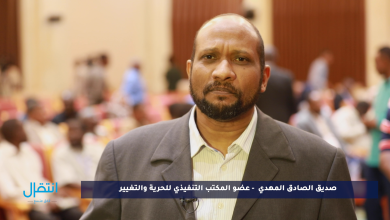 تعليقا على ما راج عن رغبة مبارك الفاضل وآخرين التوقيع على ( الإطاري)